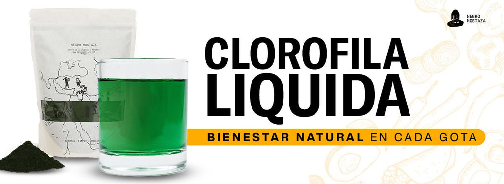 Clorofila líquida: cómo incorporarla en tu rutina diaria para potenciar tu bienestar
