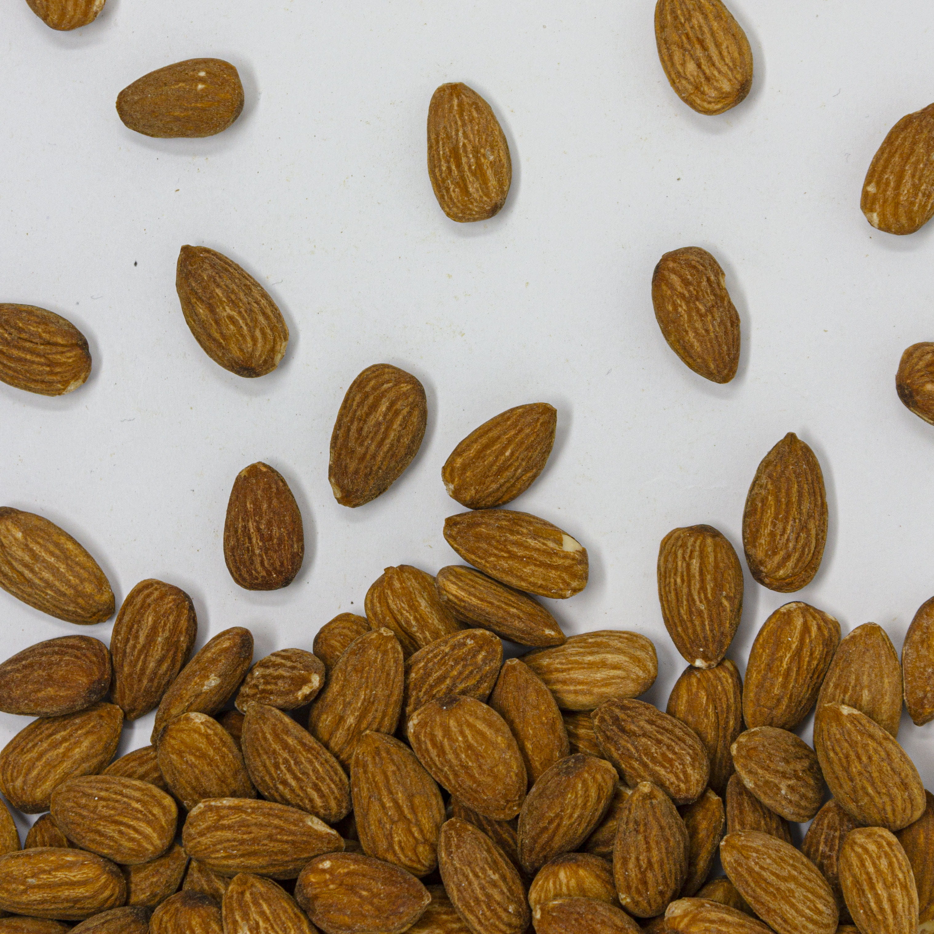  Almendra entera con cáscara y con sal.