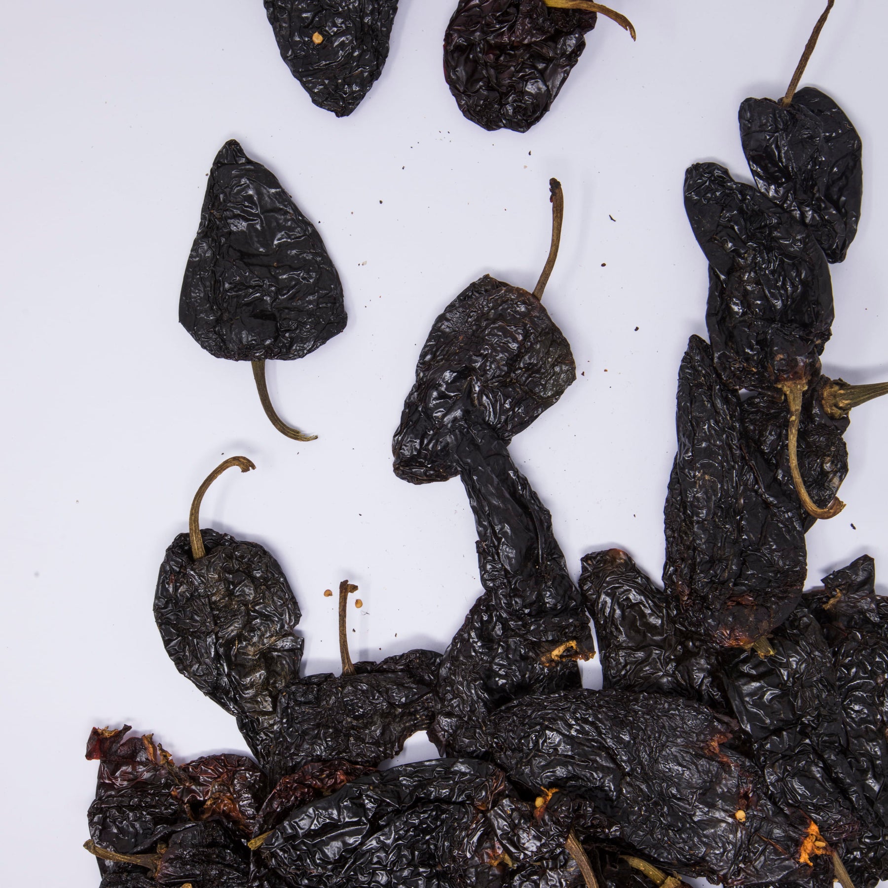 Chile guajillo