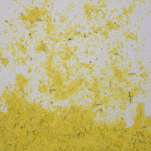 Cargar imagen en el visor de la galería, Polvo fino color amarillo
