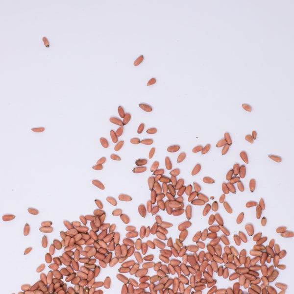 Chile guajillo